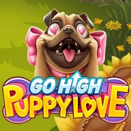 Play the Go High Puppy Love slot by RubyPlay on Spinko Casino